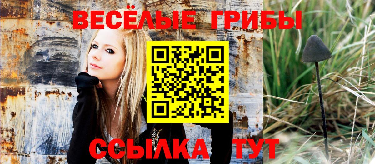 Галлюциногенные грибы MAGIC MUSHROOMS  купить наркоту  Новодвинск  Вход с VPN 