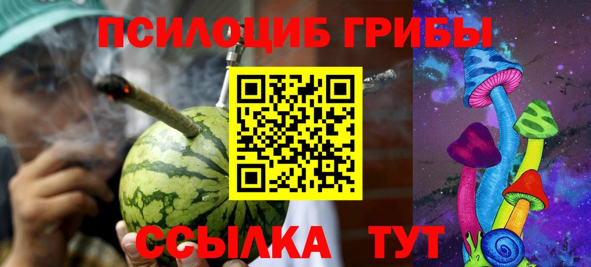 Псилоцибиновые грибы Psilocybe Новодвинск